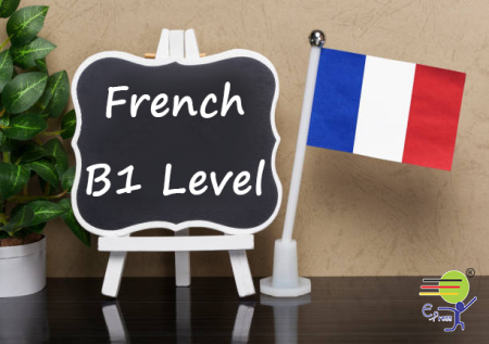 CERF FRENCH B-1 LEVEL